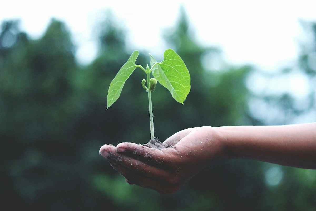 startup documentation for growth